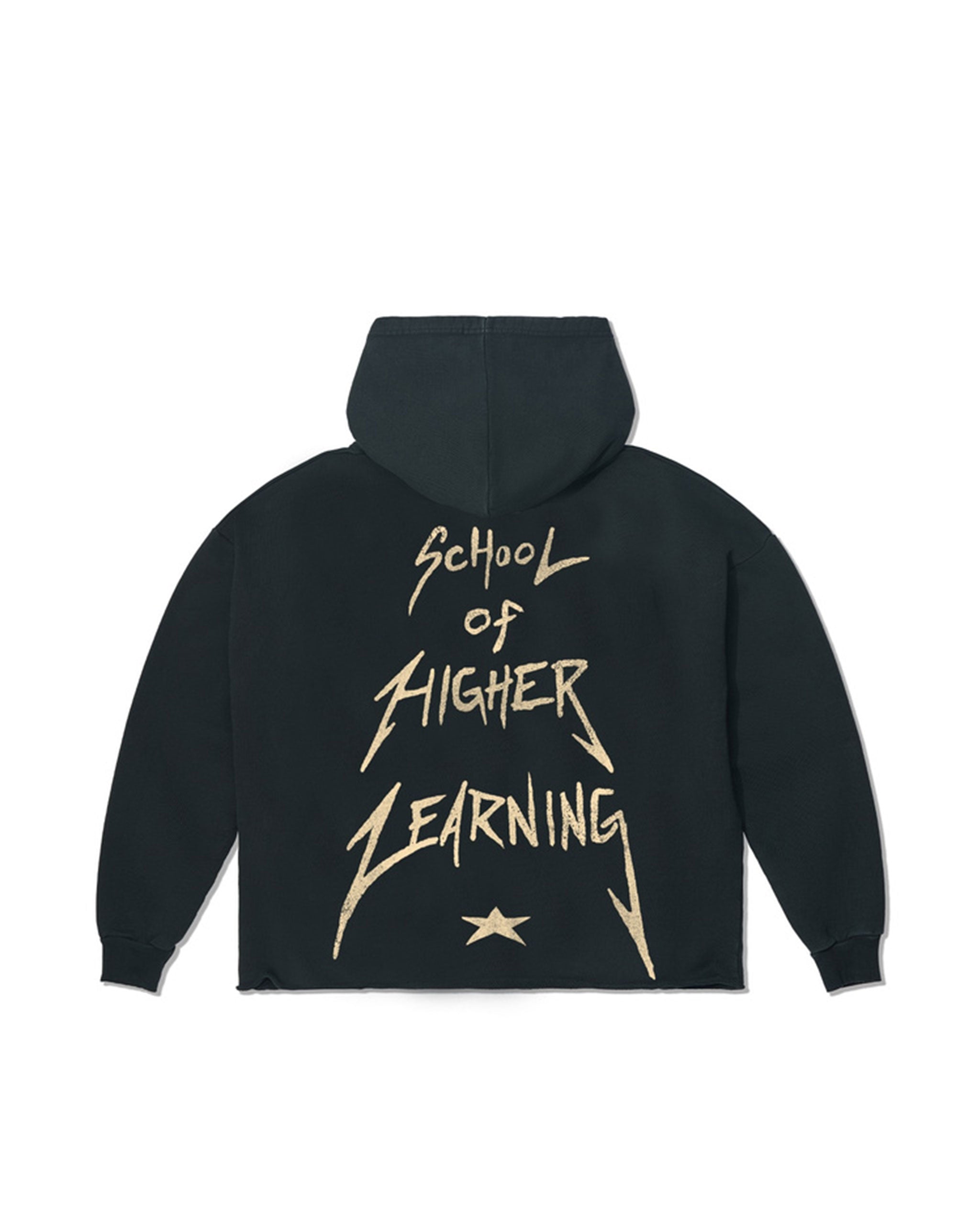 Higher Learning Aged Hoodie