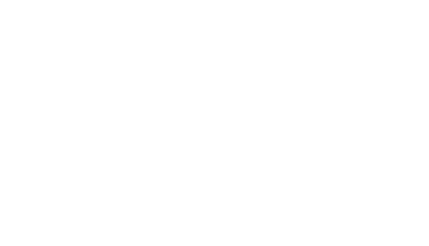 Barriers Vintage